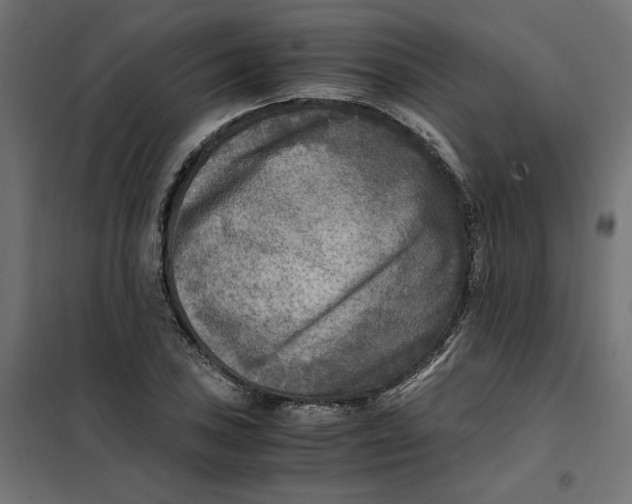 X0000101411027200807281020