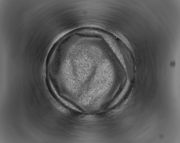 X0000101411028200807281020