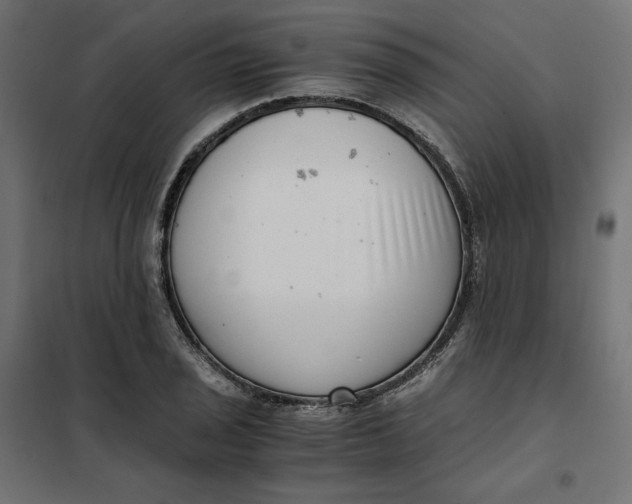 X0000101411029200807281020