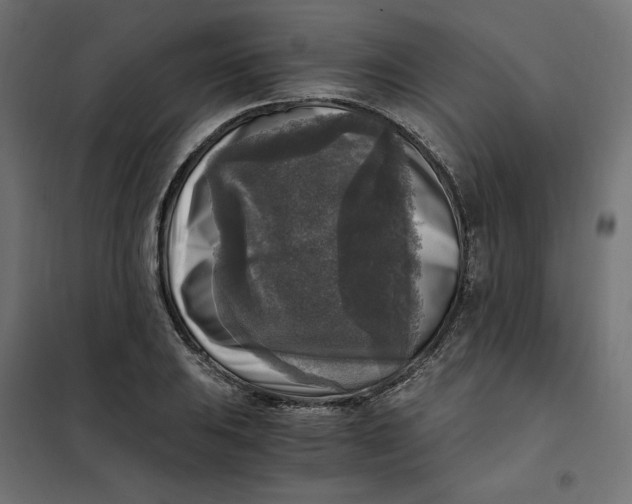 X0000101411031200807281020