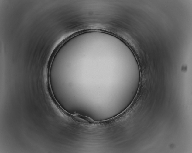 X0000101411032200807281020