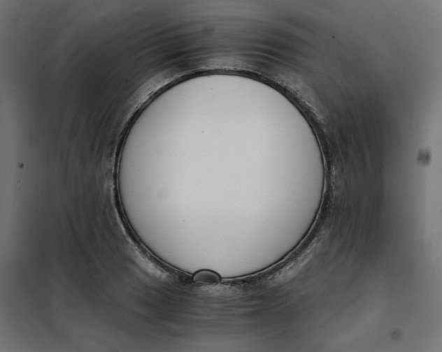 X0000101411033200807281020