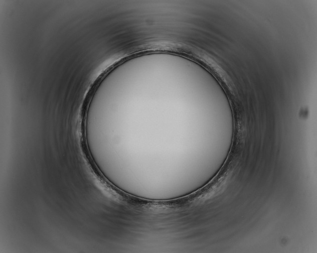 X0000101411034200807281020