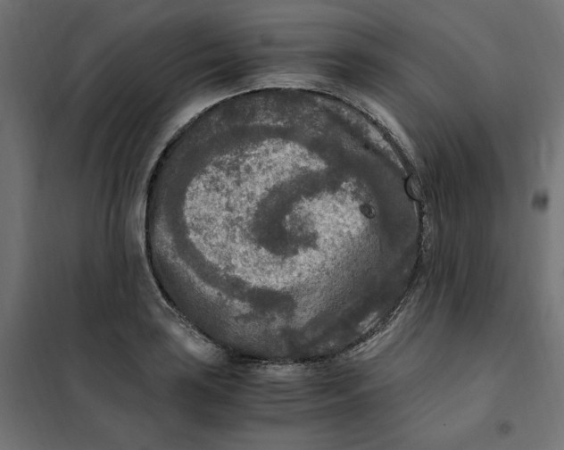 X0000101411035200807281021