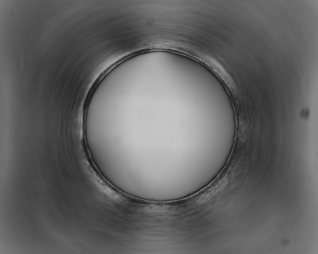 X0000101411036200807281021