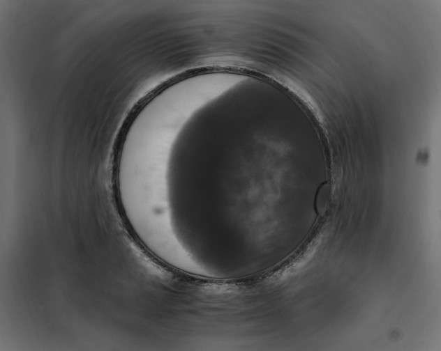 X0000101411037200807281021