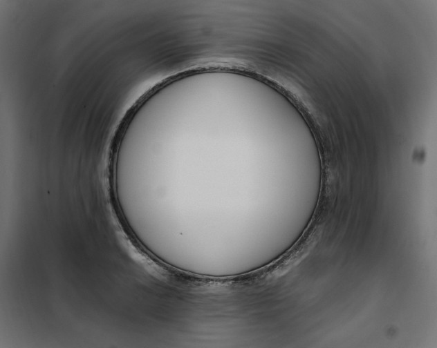 X0000101411038200807281021