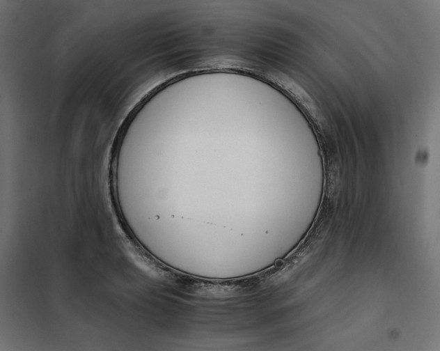 X0000101411039200807281021