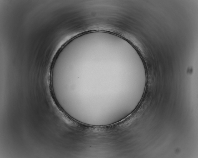 X0000101411040200807281021