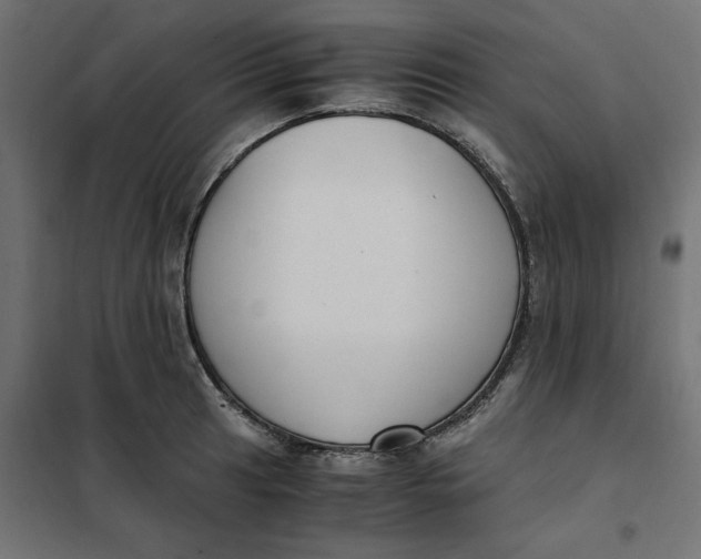 X0000101411041200807281021