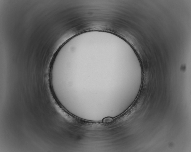 X0000101411042200807281021