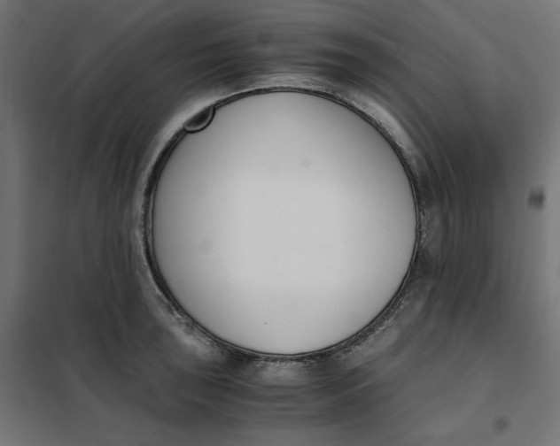 X0000101411043200807281021