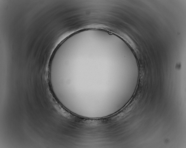 X0000101411044200807281021