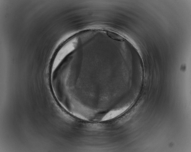 X0000101411045200807281021