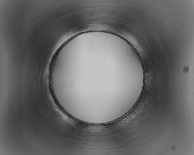 X0000101411046200807281021