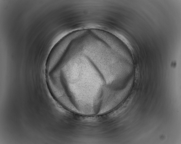 X0000101411047200807281021