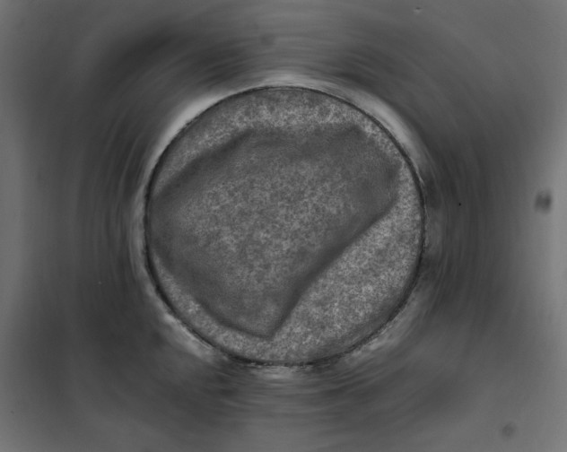 X0000101411048200807281021