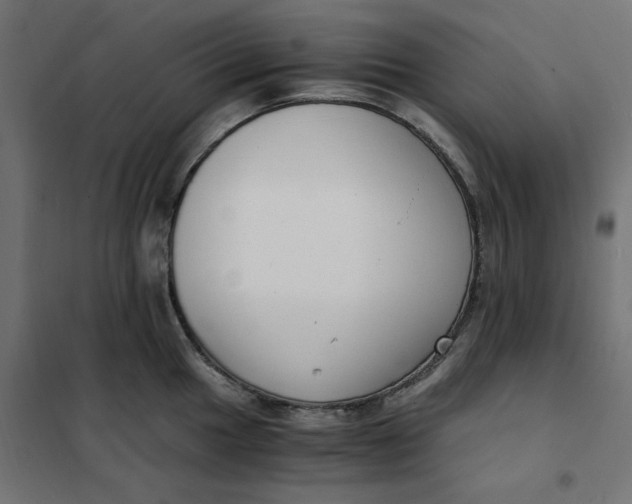 X0000101411049200807281021