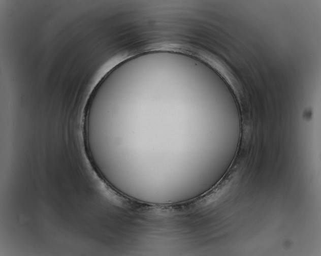 X0000101411050200807281021