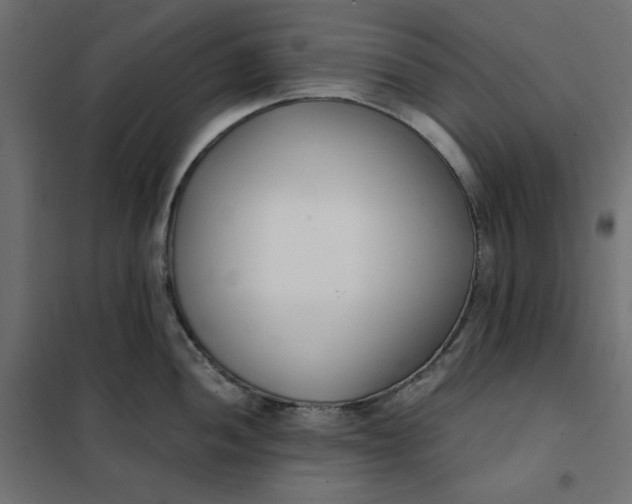 X0000101411052200807281021