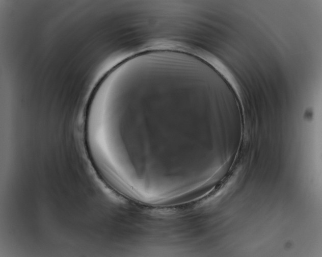 X0000101411053200807281021