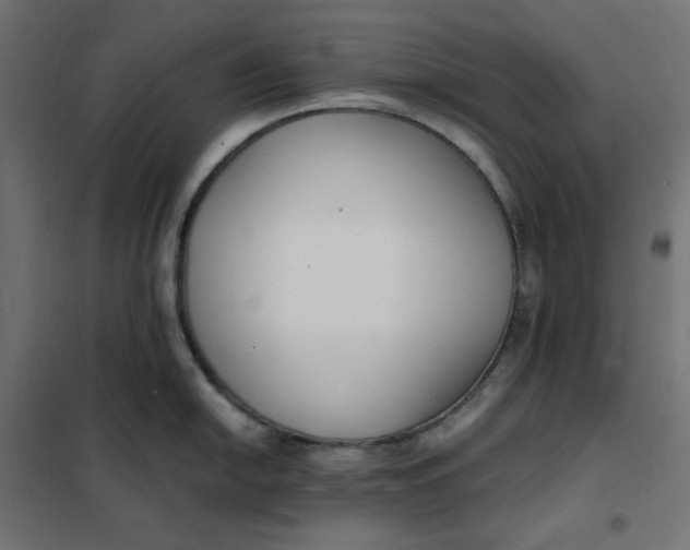 X0000101411054200807281021