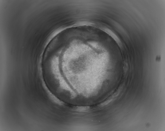 X0000101411055200807281021