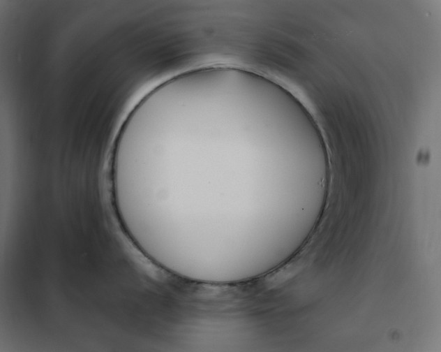 X0000101411056200807281021