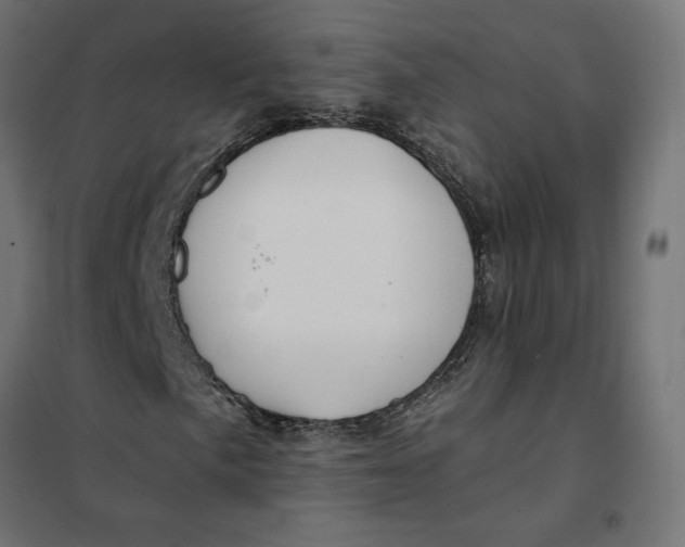 X0000101411057200807281020