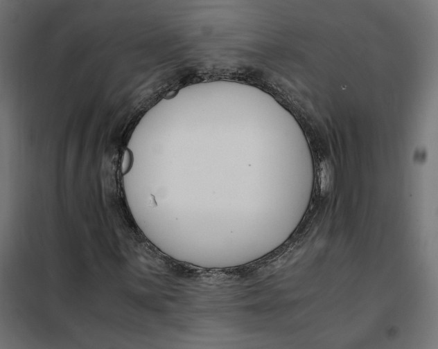 X0000101411059200807281020