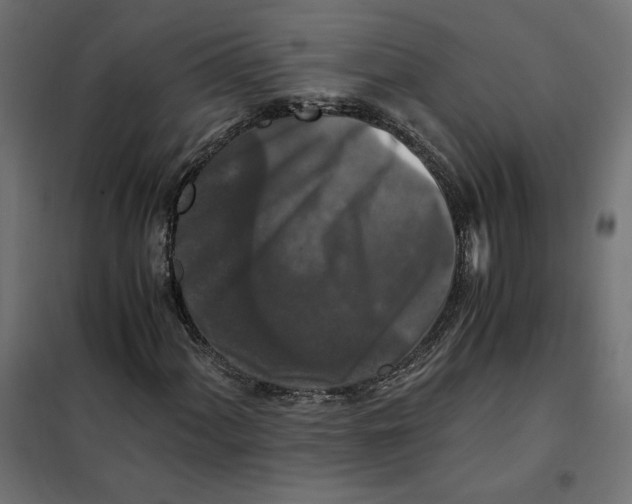 X0000101411060200807281020