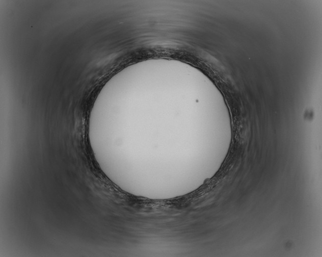 X0000101411061200807281020