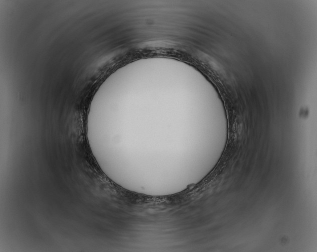 X0000101411062200807281020