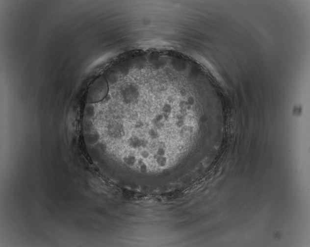 X0000101411063200807281020