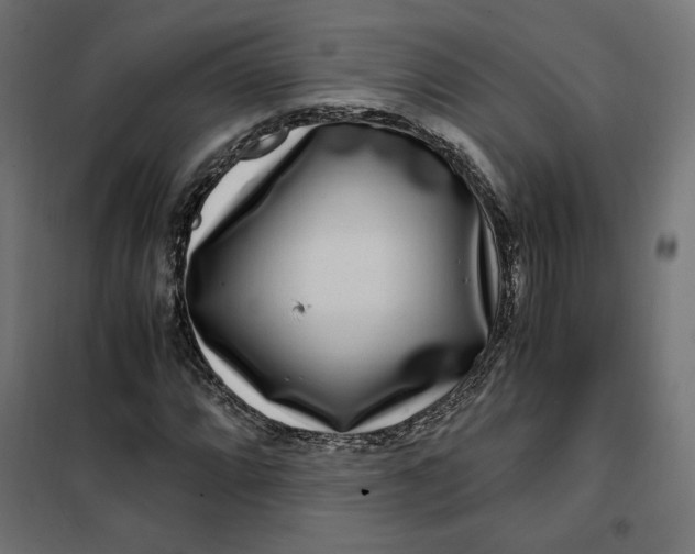 X0000101411064200807281020