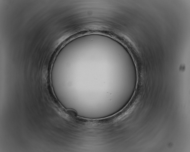 X0000101411065200807281020