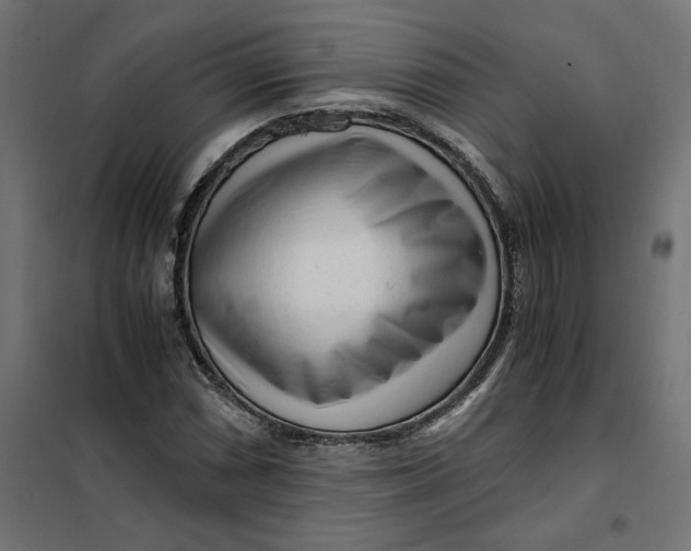 X0000101411066200807281020