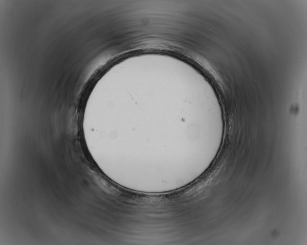 X0000101411067200807281020