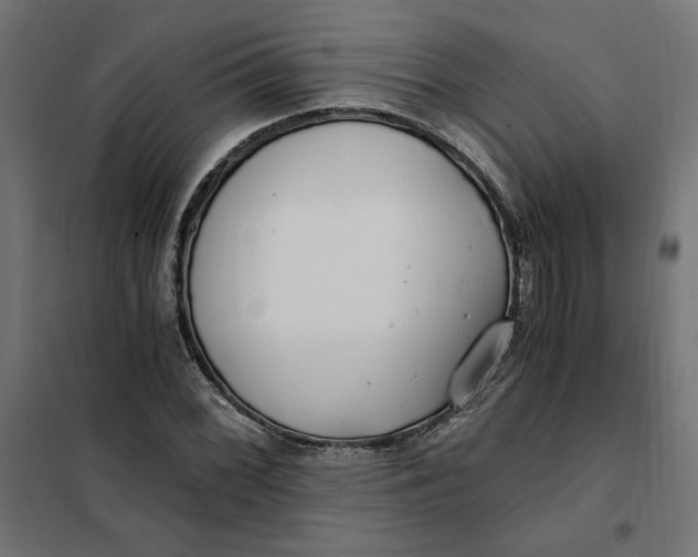 X0000101411068200807281020