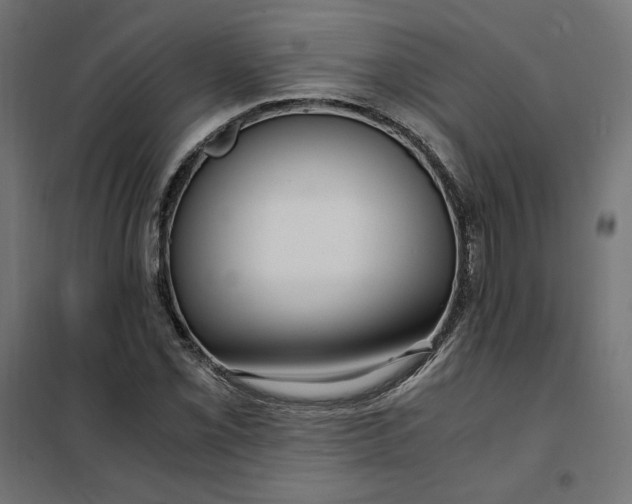 X0000101411069200807281020