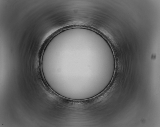 X0000101411070200807281020