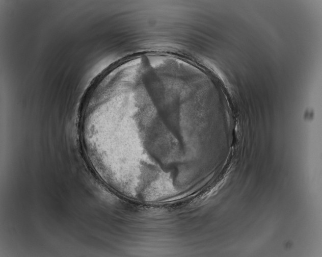 X0000101411071200807281020