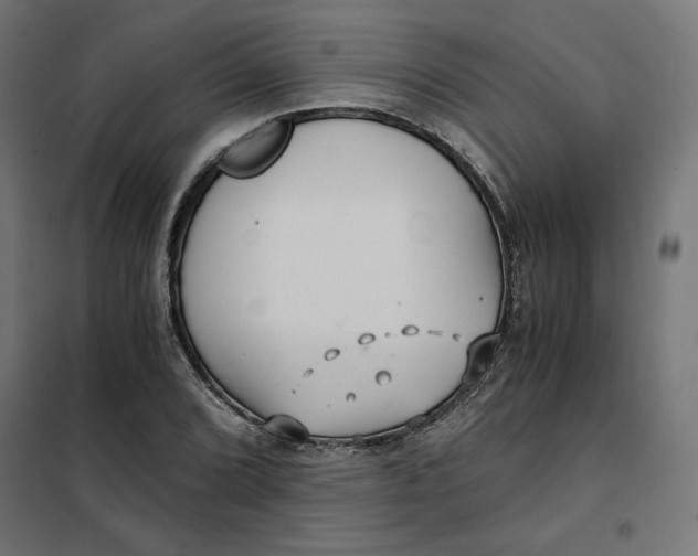 X0000101411072200807281020