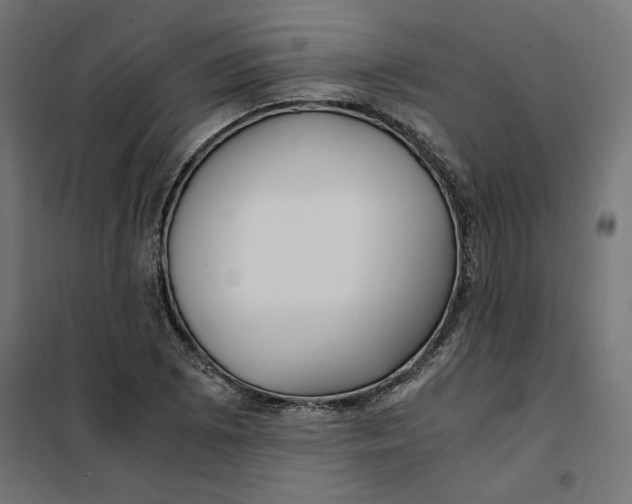 X0000101411073200807281020