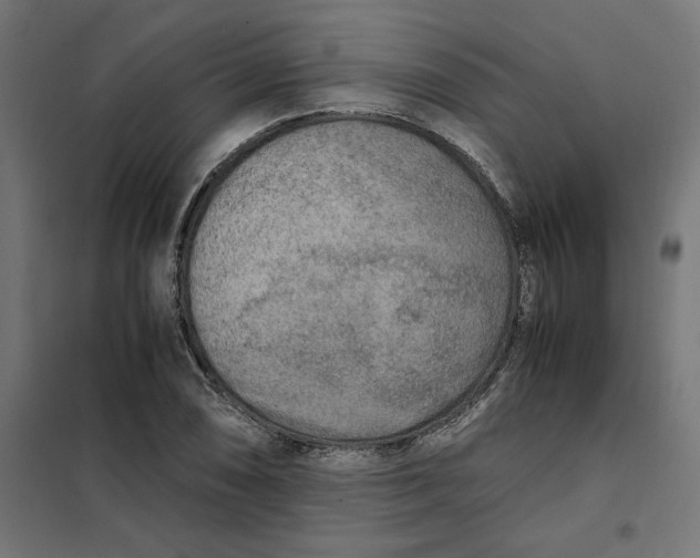 X0000101411074200807281020