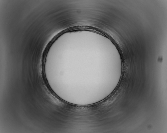 X0000101411076200807281020