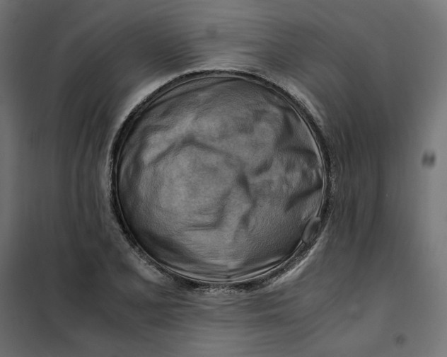 X0000101411077200807281020