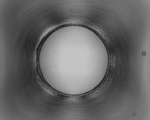 X0000101411078200807281020