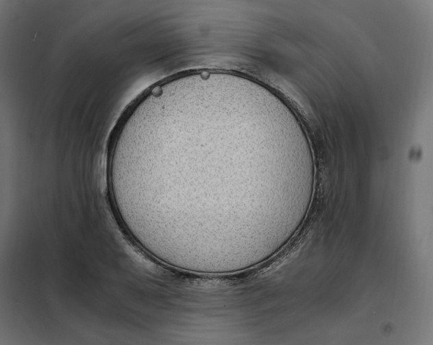 X0000101411079200807281020