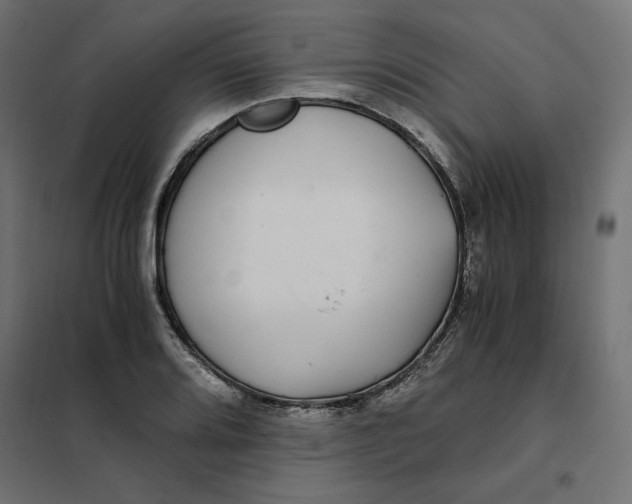 X0000101411080200807281020